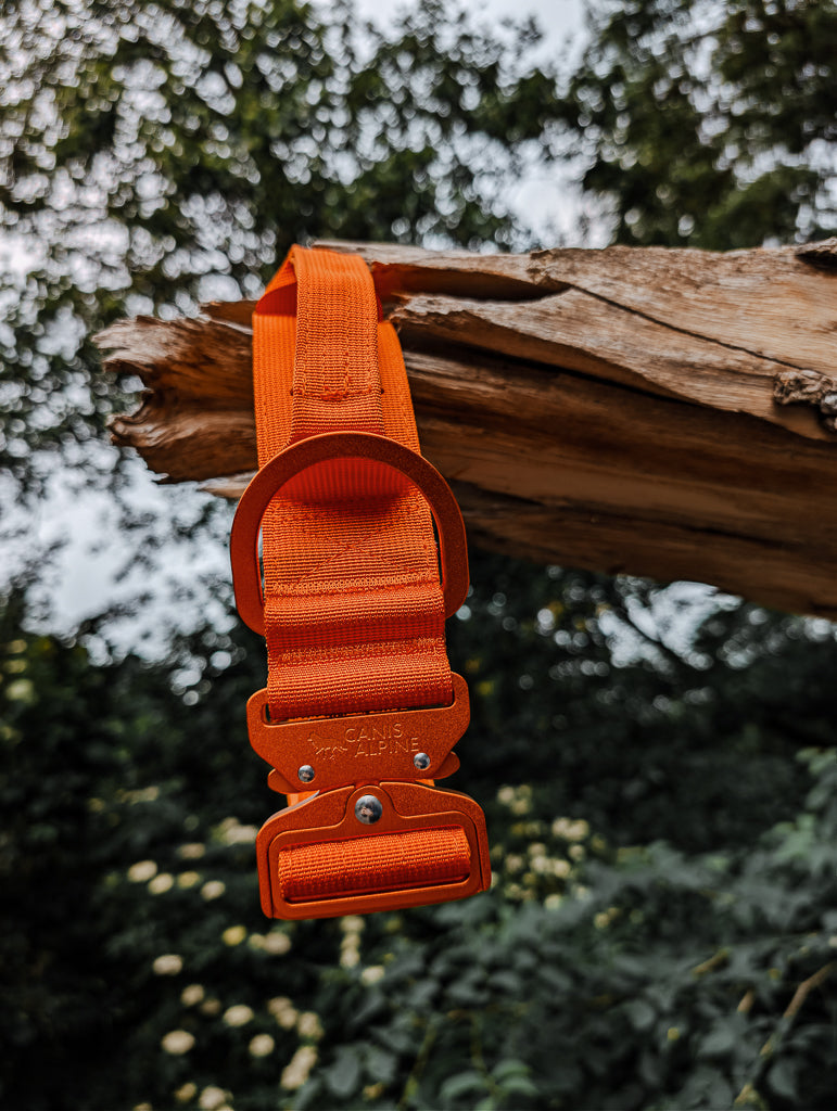 Orange strap with carabiner attached to a wooden log against a natural background