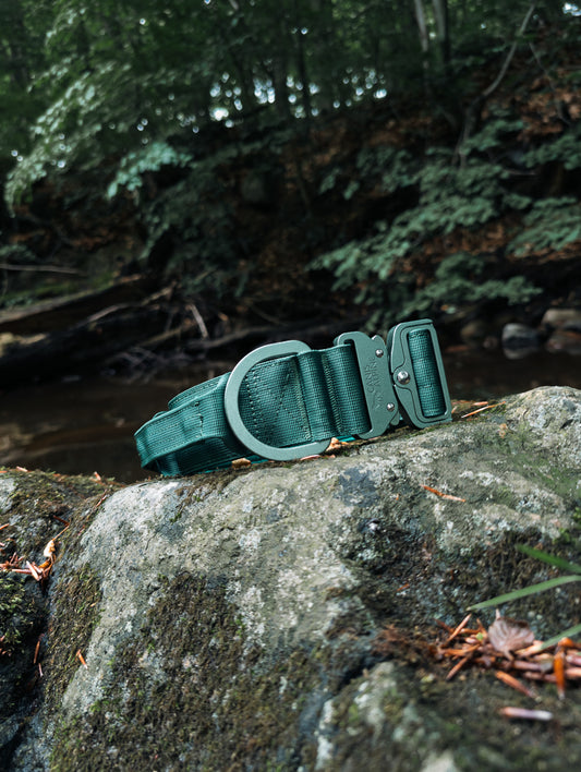 Canis Apex Woodland Evergreen Tactical Collar