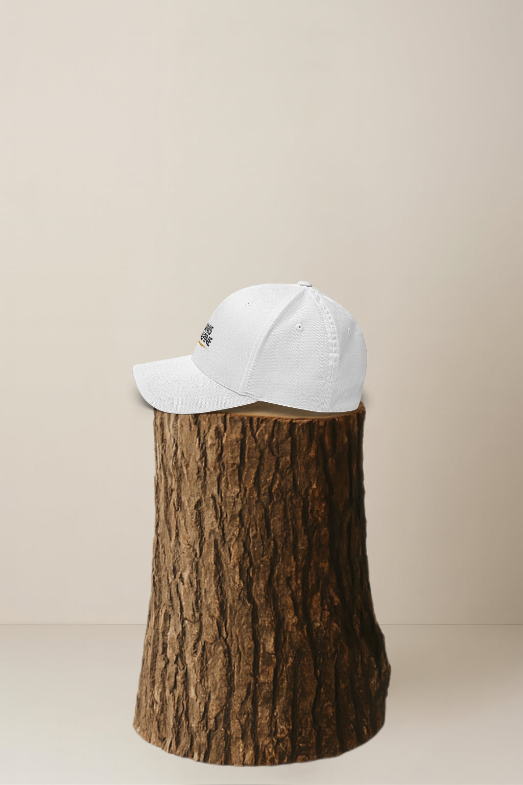 Canis Alpine Black Walker Structured Twill Cap