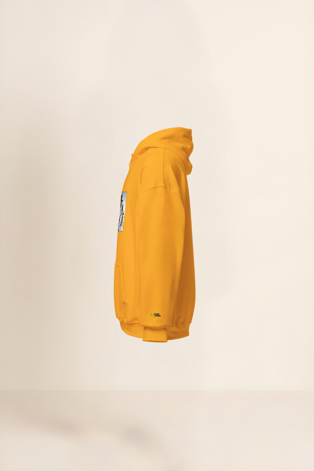 Caelum Plenum Pinorum Hoodie