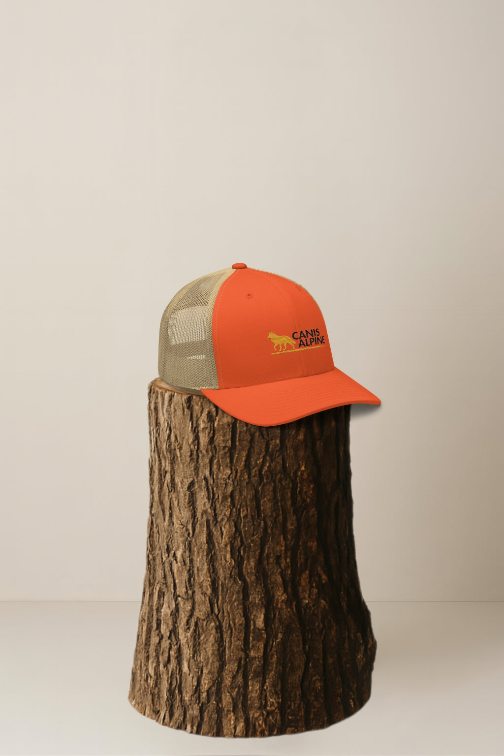 Canis Trucker Black Walker