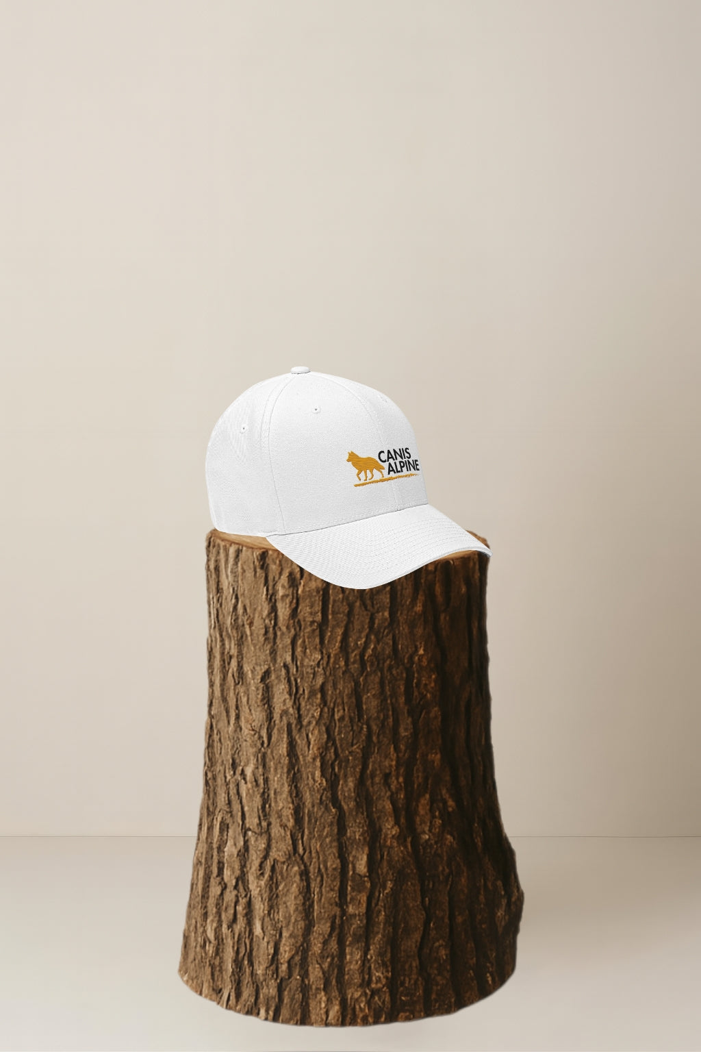 Canis Alpine Black Walker Structured Twill Cap