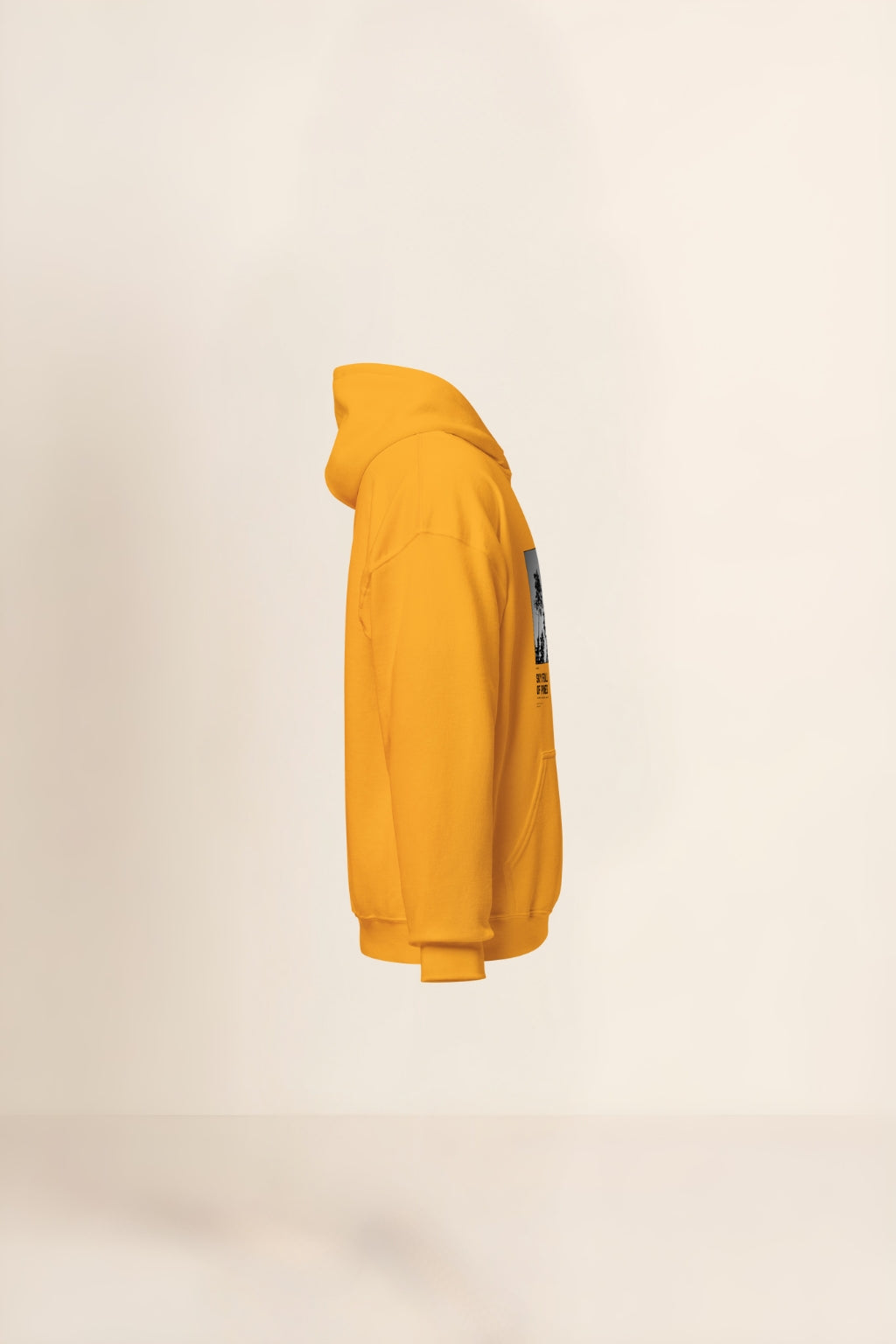 Caelum Plenum Pinorum Hoodie
