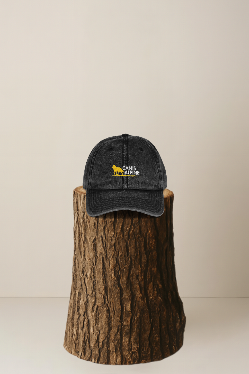 Canis Alpine Vintage Cotton Twill Cap