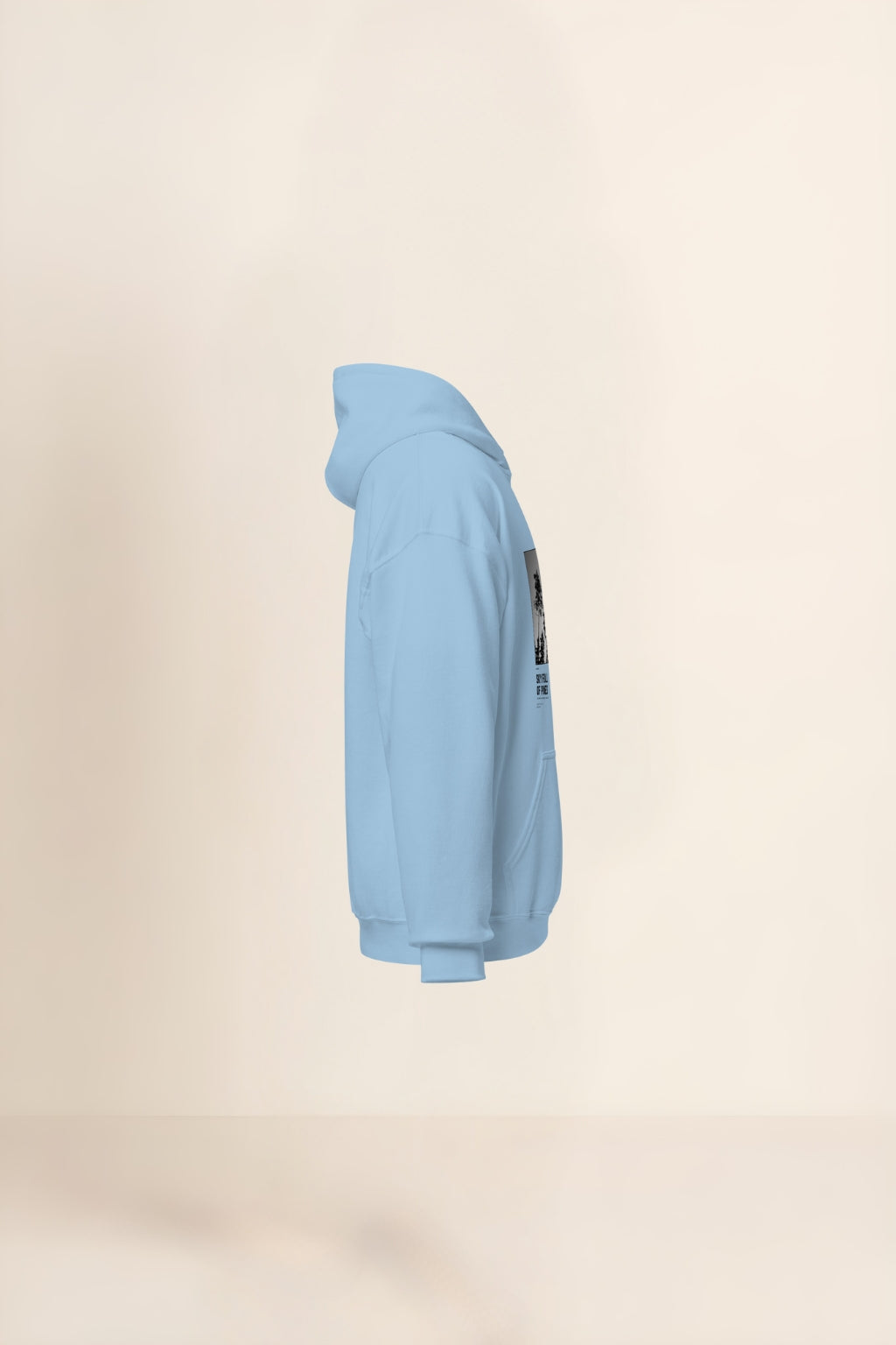 Caelum Plenum Pinorum Hoodie