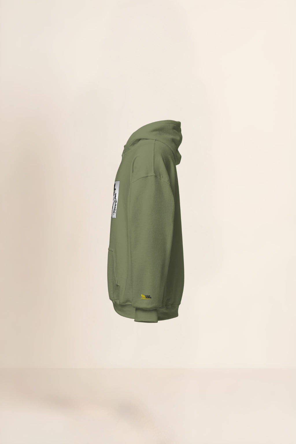 Caelum Plenum Pinorum Hoodie