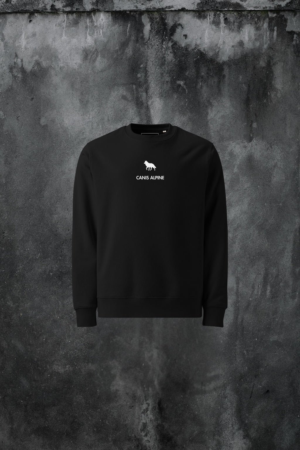 Pyramides Animi eco sweatshirt