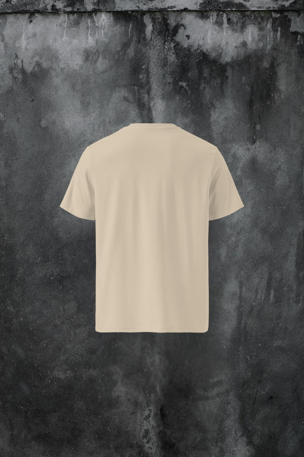 Vallis Somniorum organic cotton t-shirt