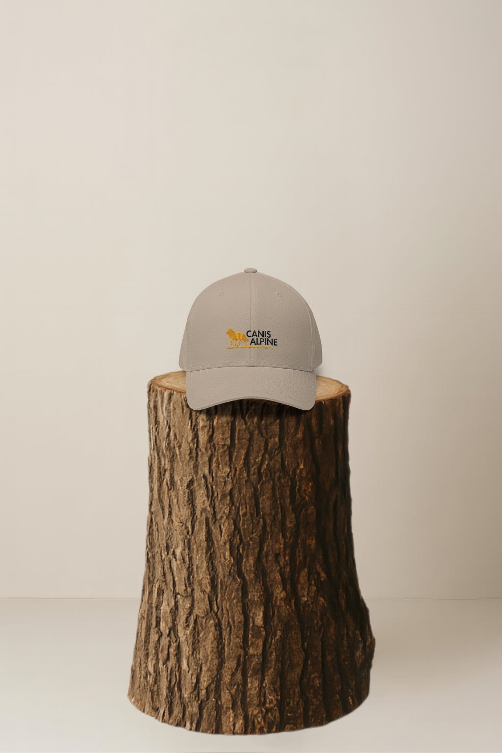 Canis Alpine Black Walker Structured Twill Cap