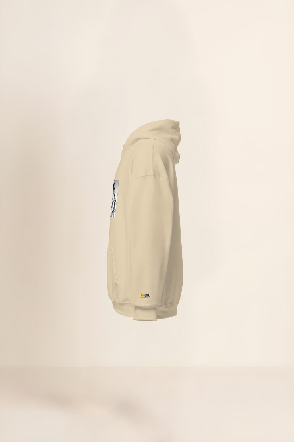 Caelum Plenum Pinorum Hoodie