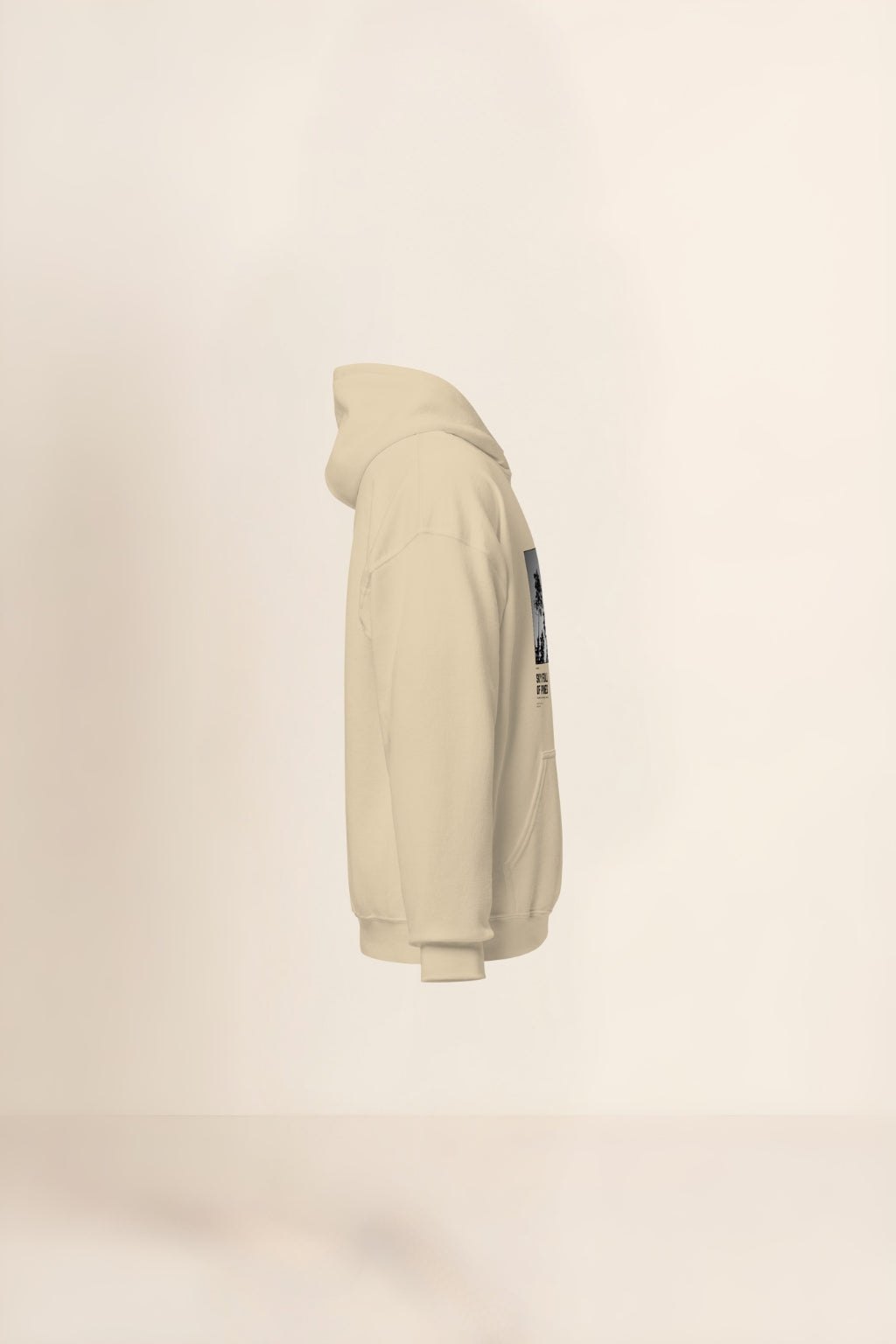 Caelum Plenum Pinorum Hoodie