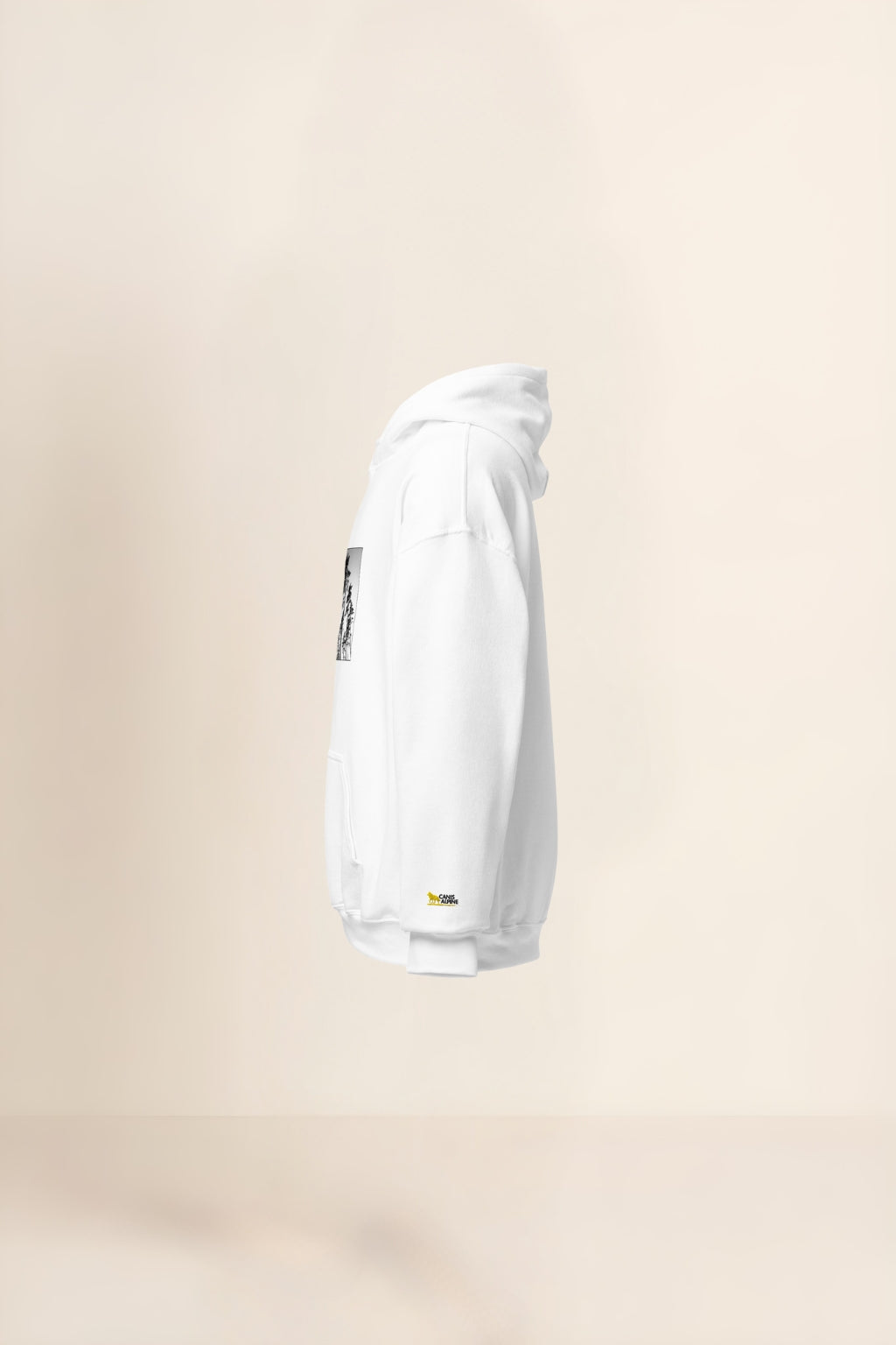 Caelum Plenum Pinorum Hoodie