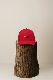 Canis Trucker Black Walker