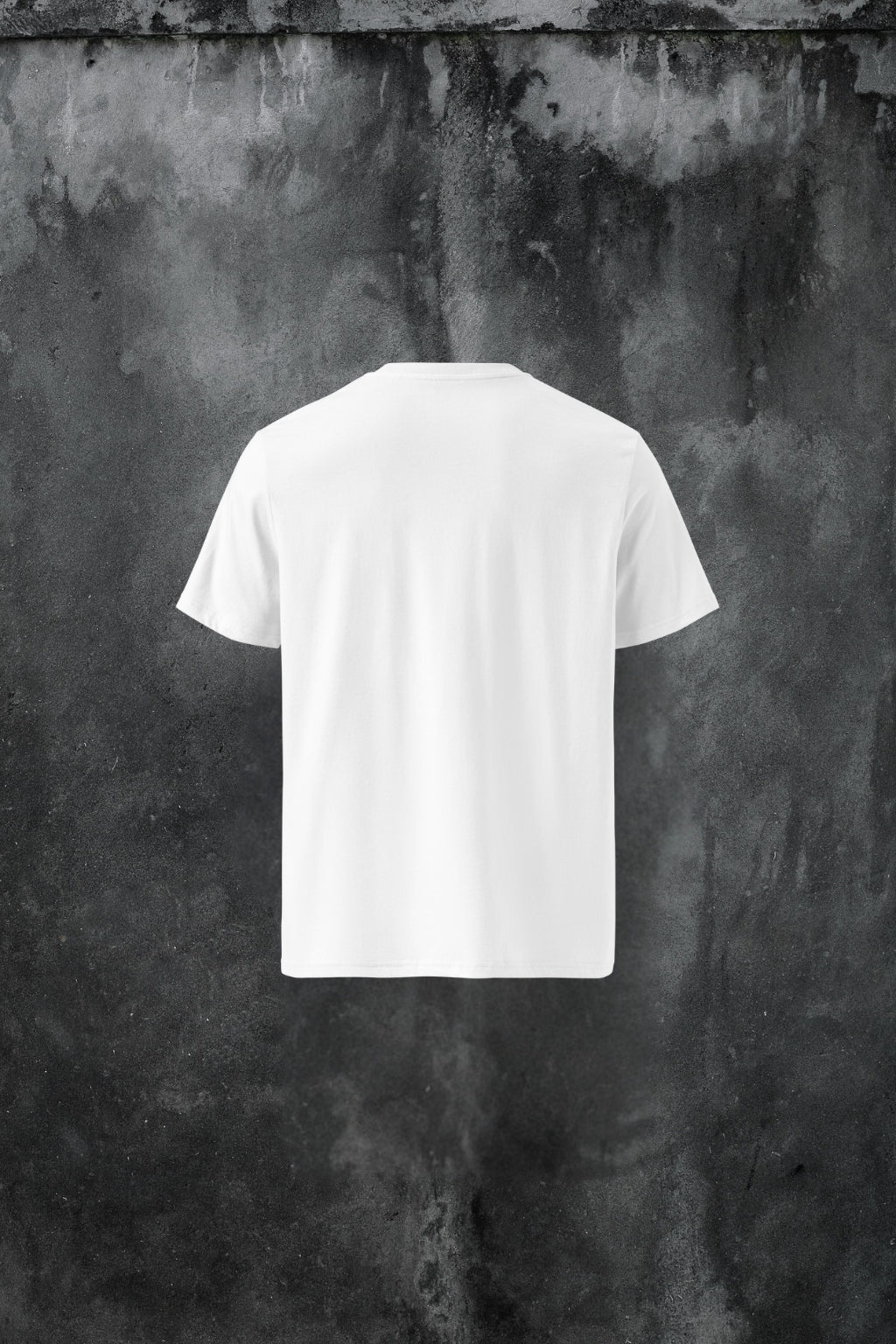 Aurora Alpina organic cotton t-shirt