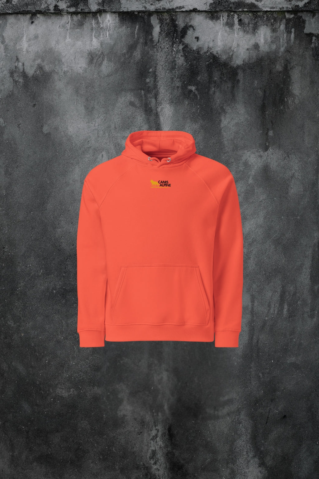 Umbra Solis Cadentis eco raglan hoodie
