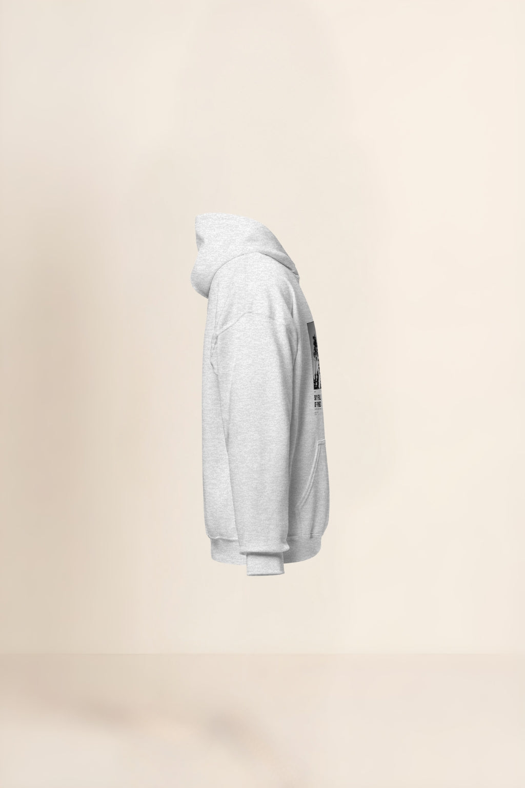 Caelum Plenum Pinorum Hoodie