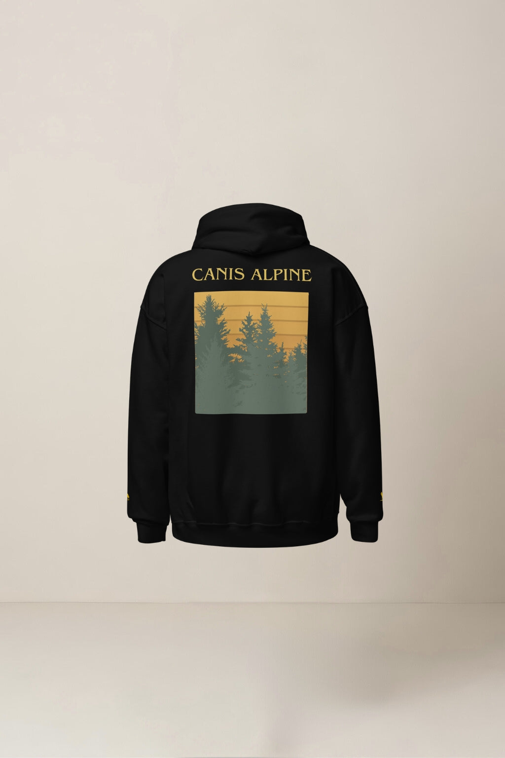 Trans Pinorum Unisex Hoodie