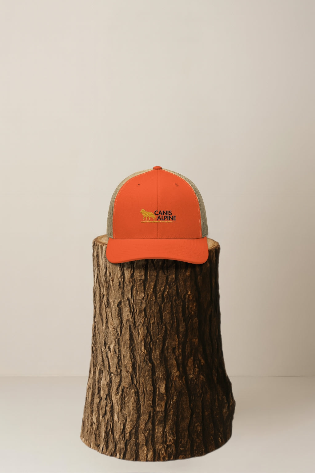 Canis Trucker Black Walker