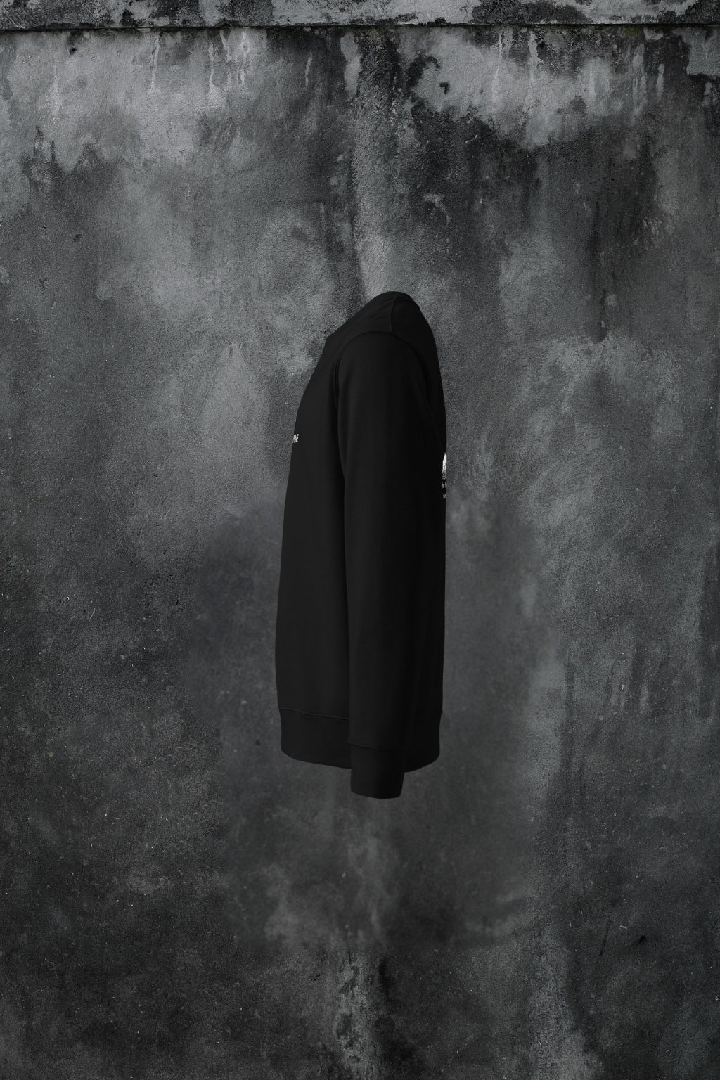 Pyramides Animi eco sweatshirt