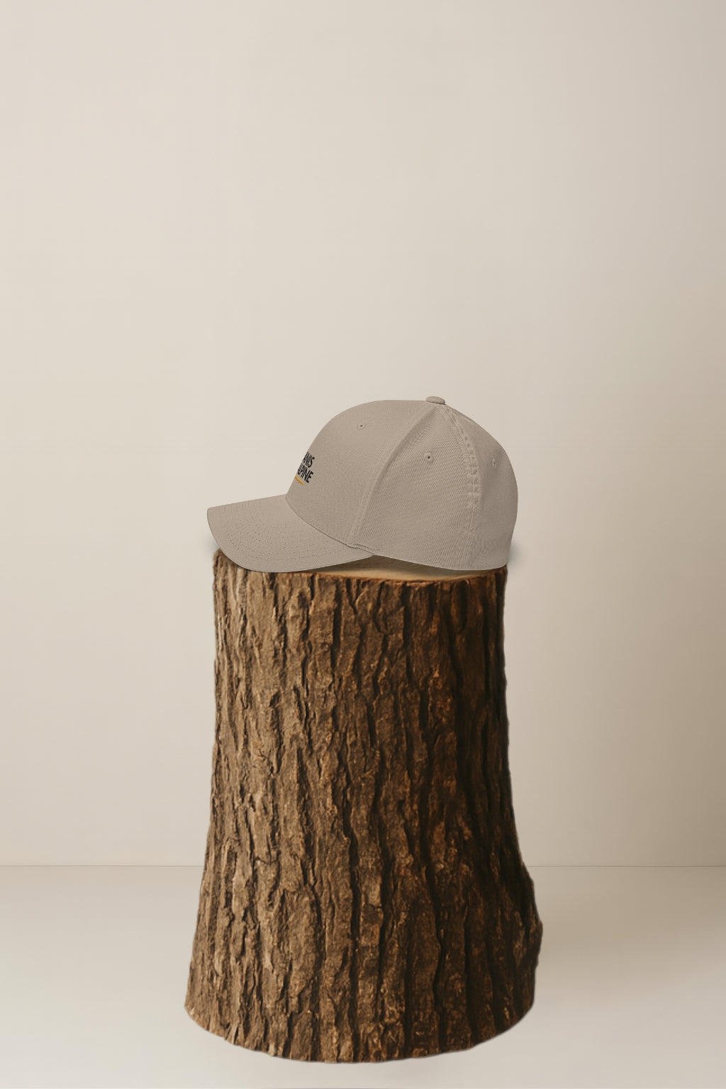 Canis Alpine Black Walker Structured Twill Cap