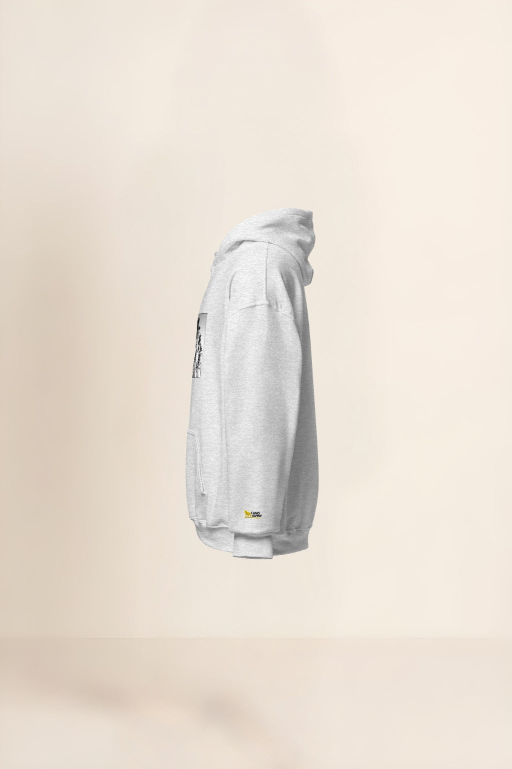 Caelum Plenum Pinorum Hoodie