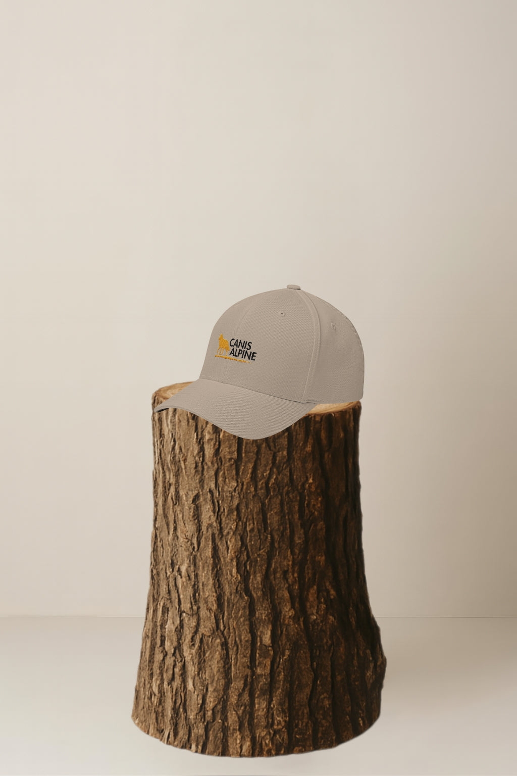 Canis Alpine Black Walker Structured Twill Cap