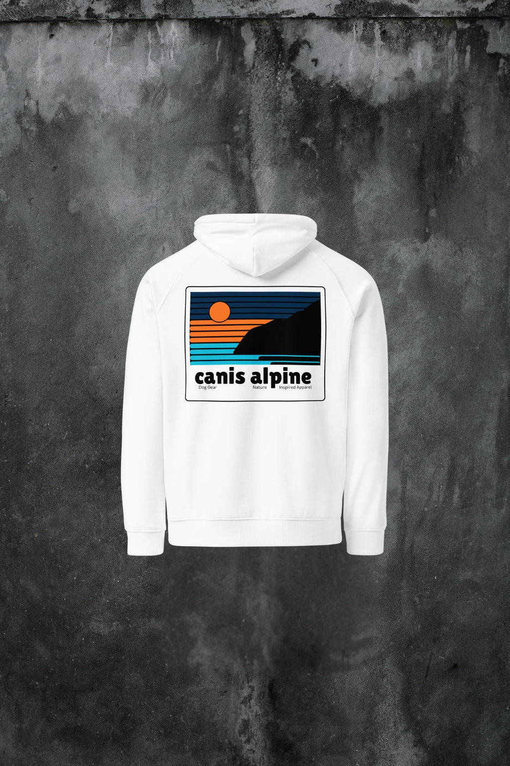 Umbra Solis Cadentis eco raglan hoodie