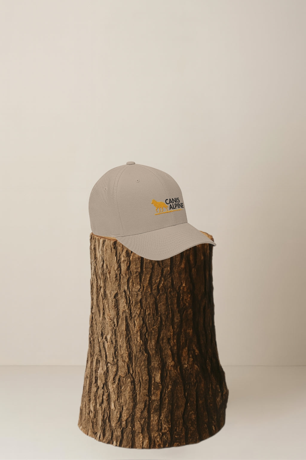 Canis Alpine Black Walker Structured Twill Cap