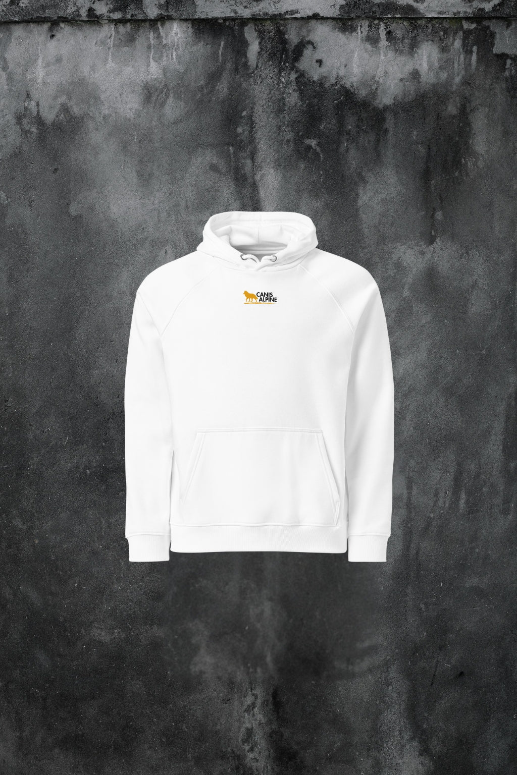 Umbra Solis Cadentis eco raglan hoodie