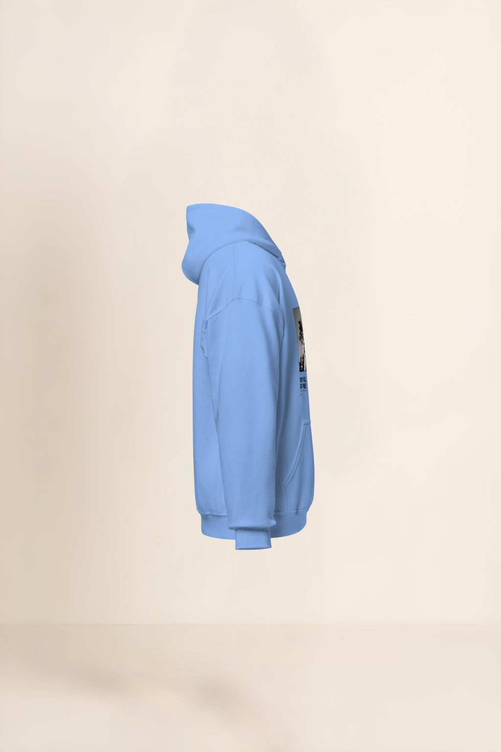 Caelum Plenum Pinorum Hoodie