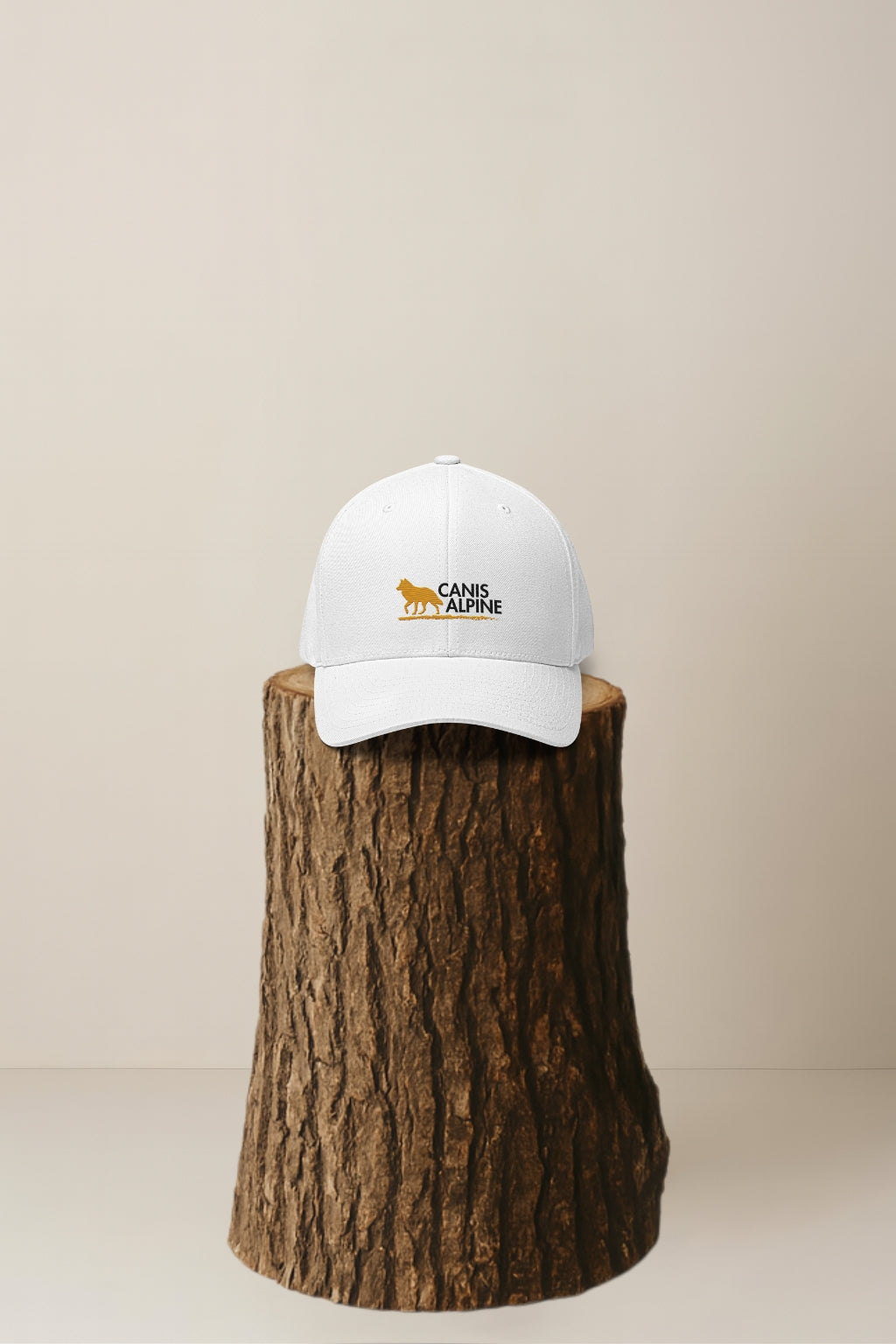 Canis Alpine Black Walker Structured Twill Cap
