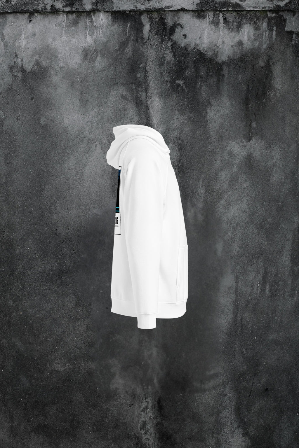 Umbra Solis Cadentis eco raglan hoodie