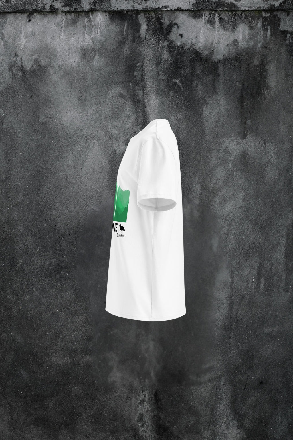 Vallis Somniorum organic cotton t-shirt