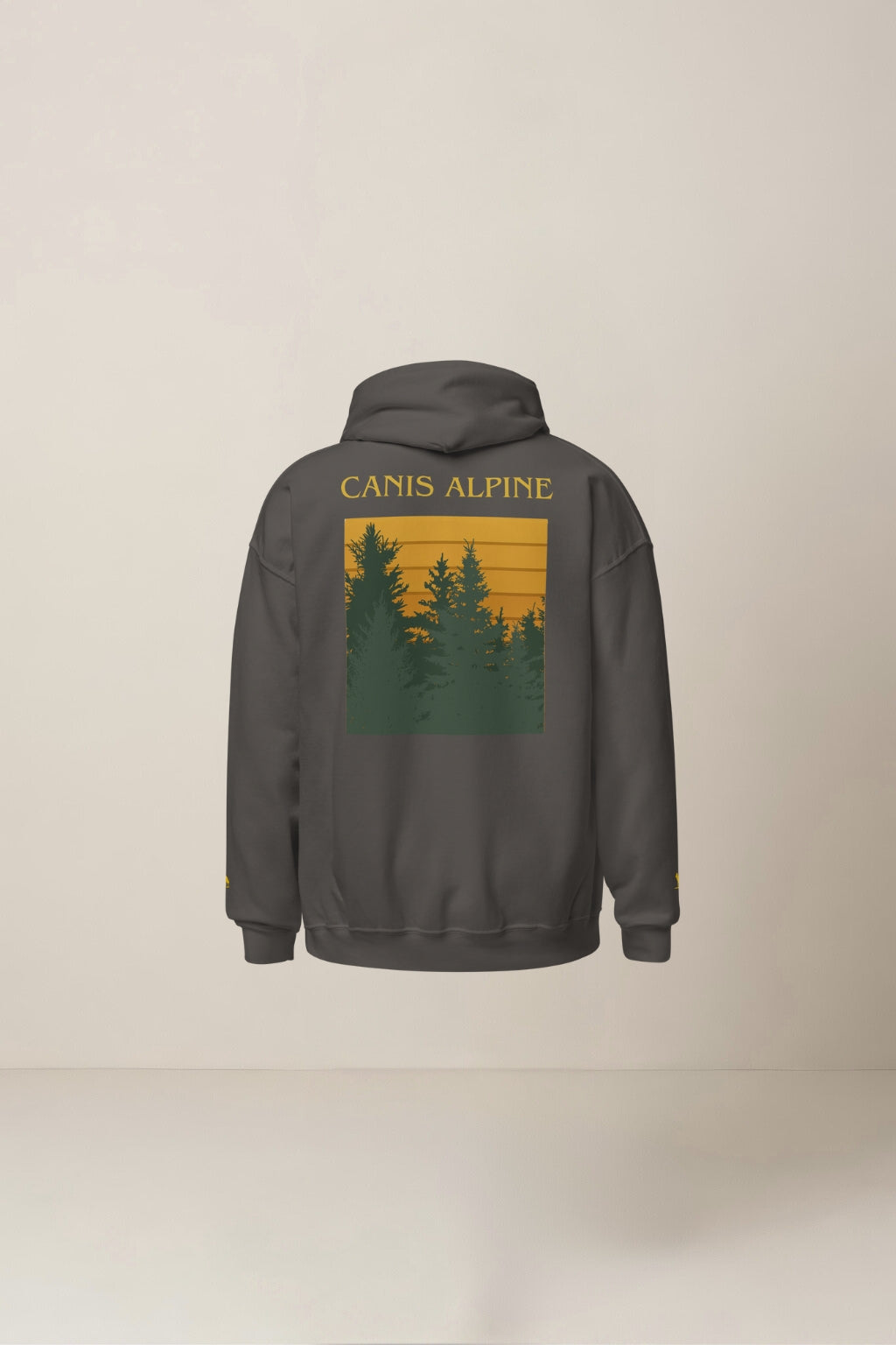 Trans Pinorum Unisex Hoodie