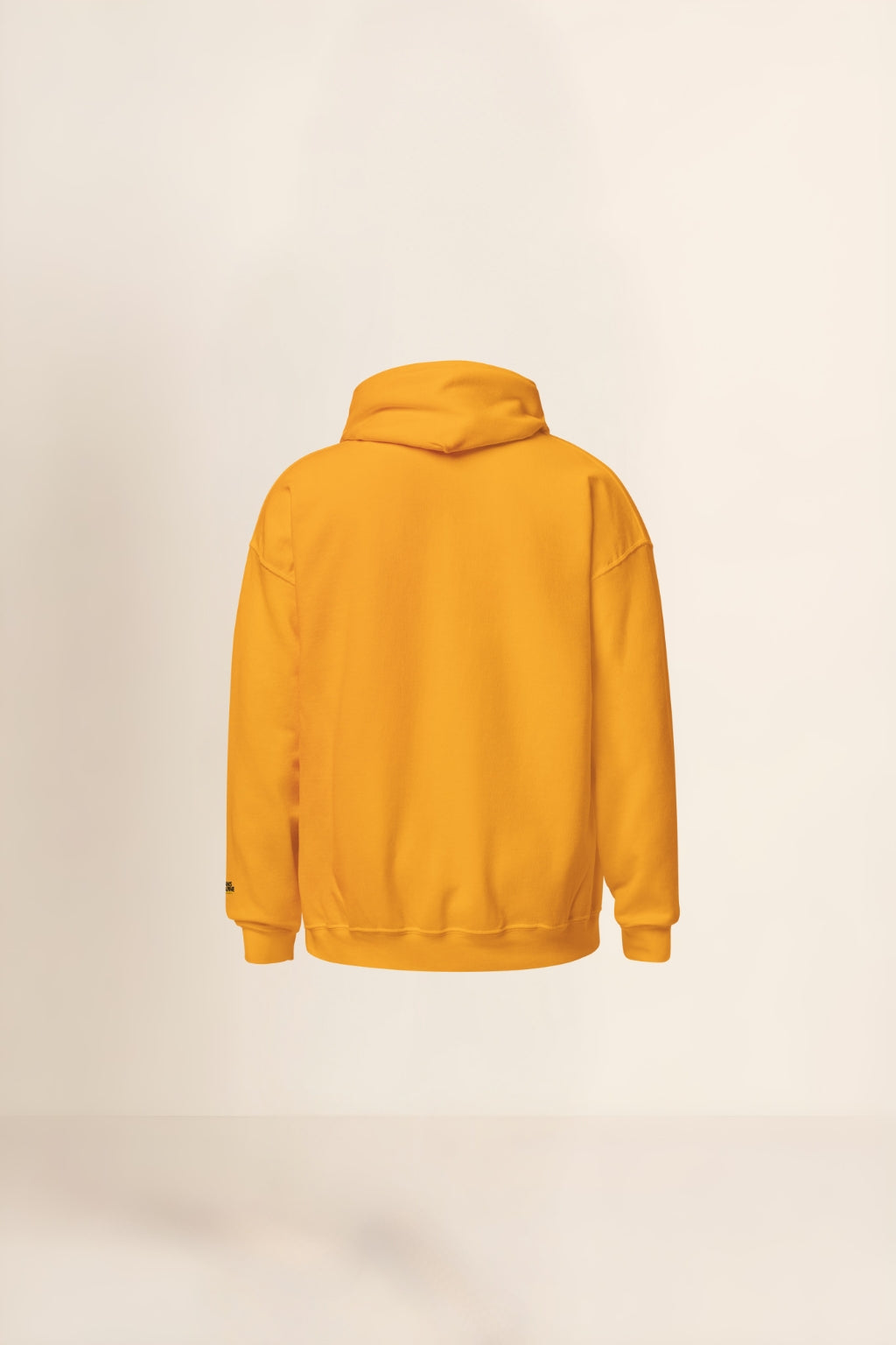 Caelum Plenum Pinorum Hoodie