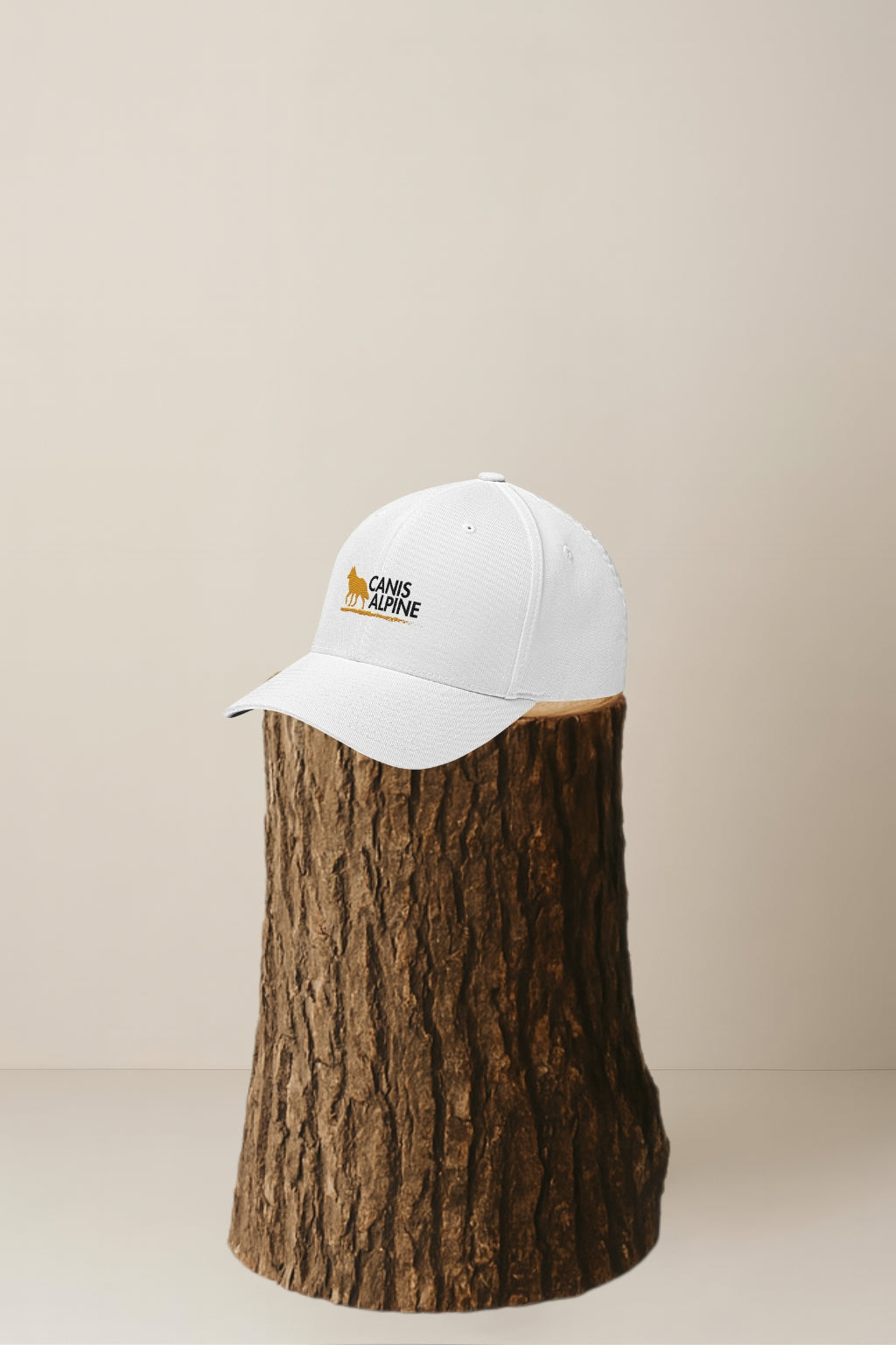 Canis Alpine Black Walker Structured Twill Cap