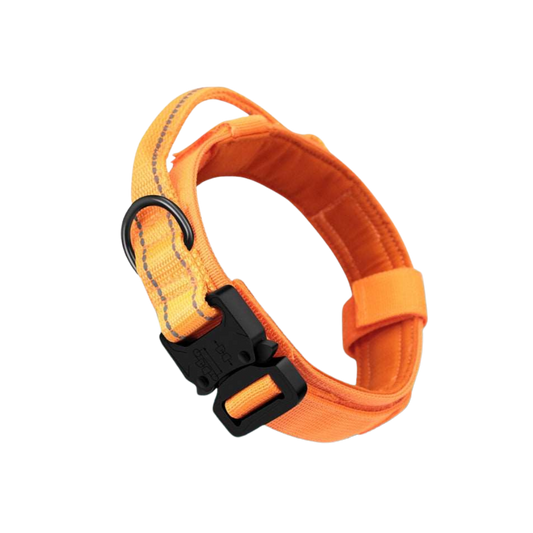 Alpenglow Protector Collar