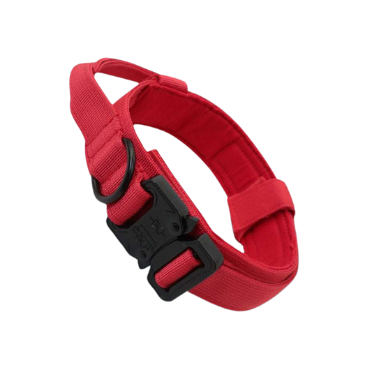 Alpenglow Protector Collar