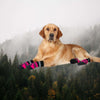 Canis PawDry Boots