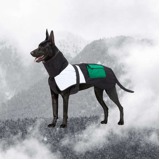 Canis Winter Polo Padded Multicolour Coat