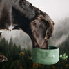 Canis Canvas Foldable Drinking Bowl