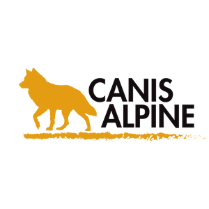 Canis Alpine