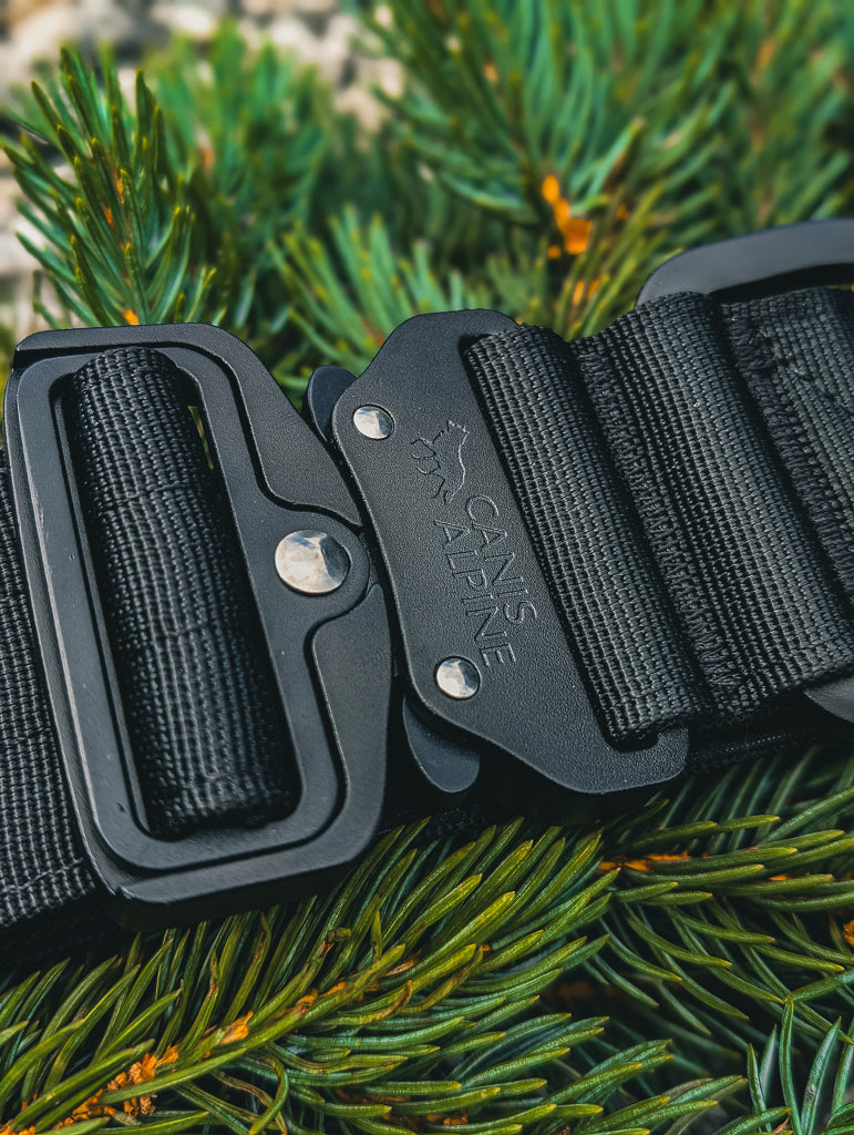 Canis Apex Basalt Black Tactical Collar