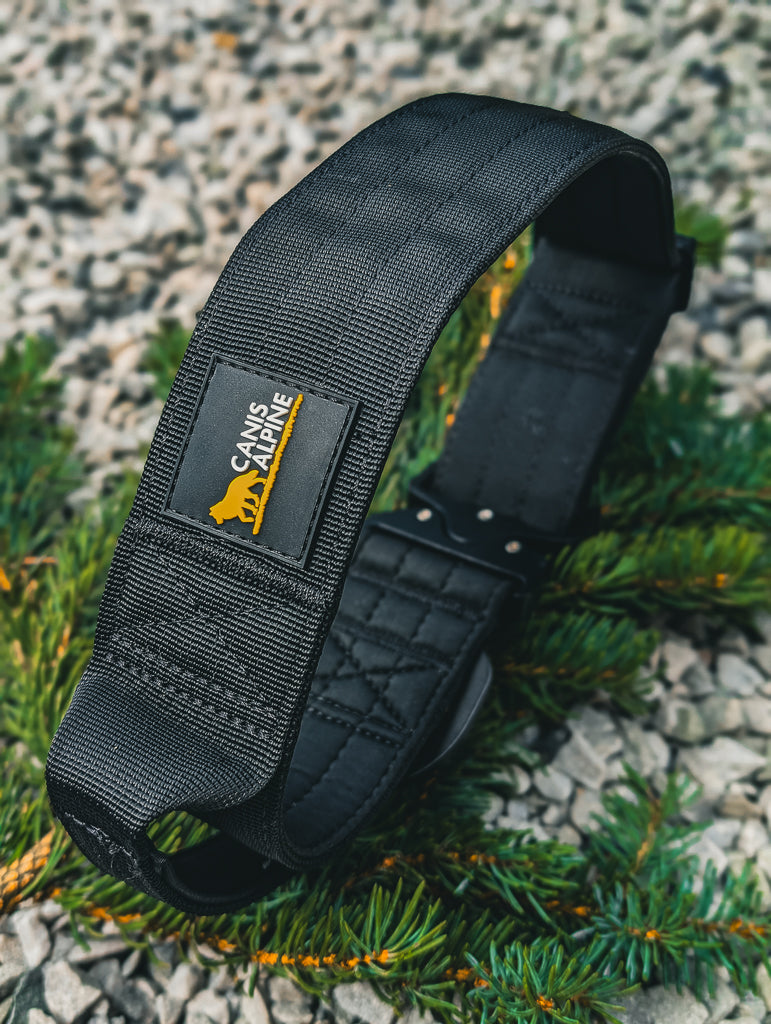 Canis Apex Basalt Black Tactical Collar