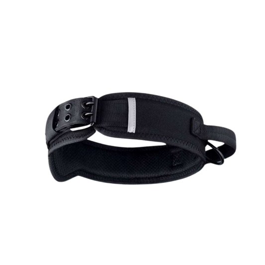 Pathfinder Protector Collar