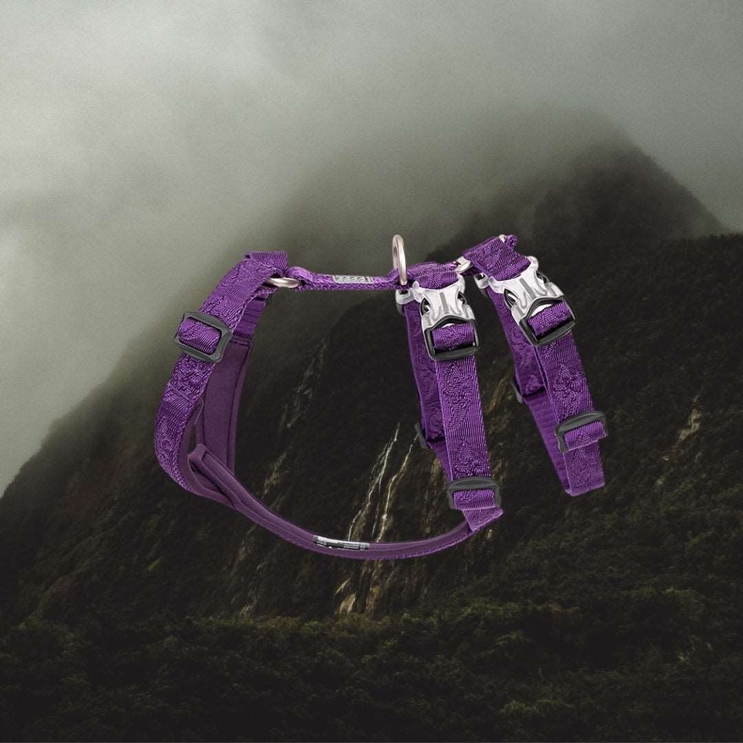 Strapped in Nylon Harness