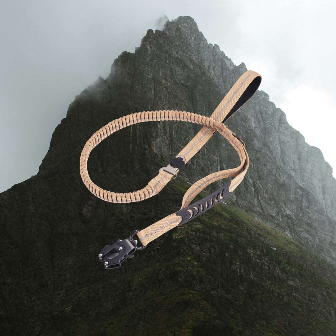 Fortis Frog Buckle Traction Leash