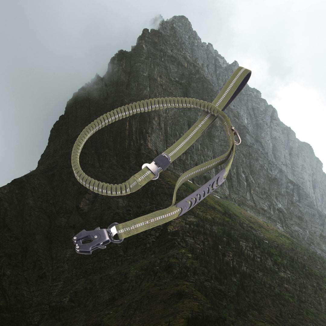 Fortis Frog Buckle Traction Leash