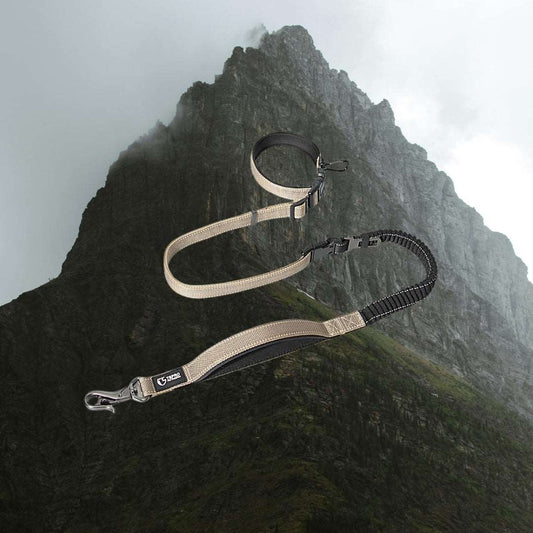 TSPRO Spring Back Traction Leash