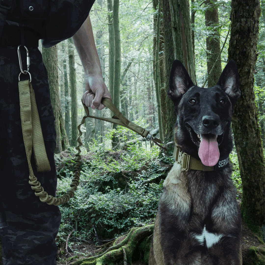 Spanker Gurkha Tactical Collar